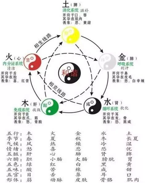 土多木折|五行关系及象意